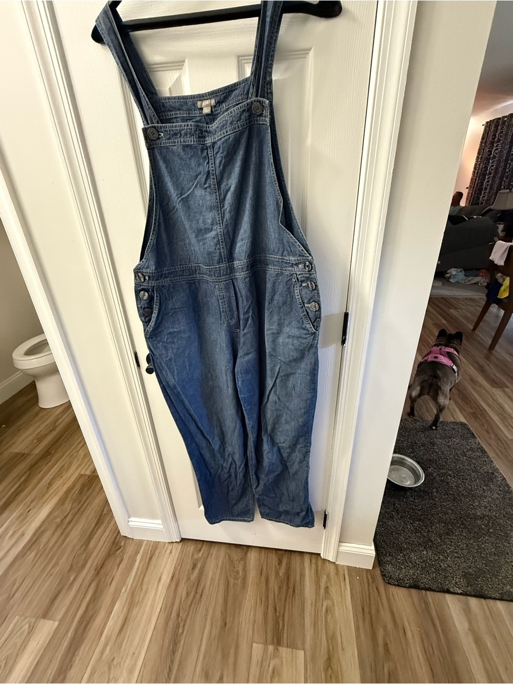 J. Jill Denim Blue Overalls